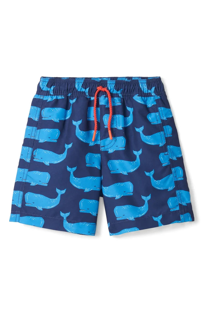 Hatley Swim Trunks -  Block Whales