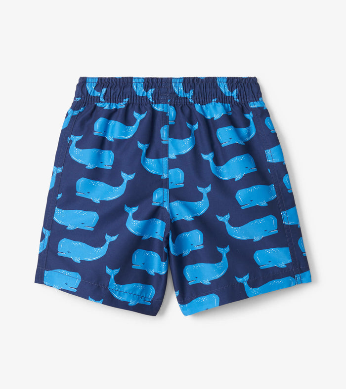 Hatley Swim Trunks -  Block Whales