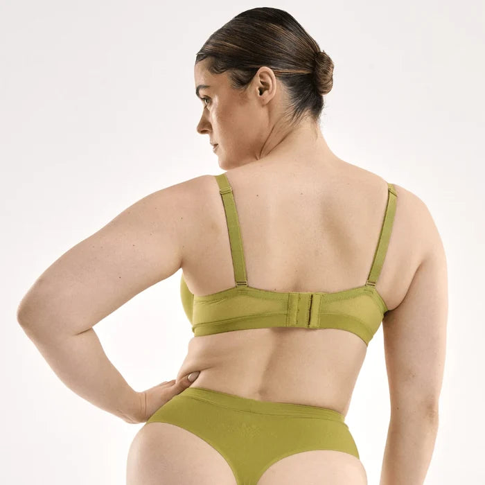 STEFANIA / 14DD, 14C / KIWI, 14D / KIWI, 14DD / KIWI, 14E / KIWI, 14F / KIWI, 14G / KIWI, 14h / KIWI, 16C / KIWI, 16D / KIWI, 16DD / KIWI, 16E / KIWI, 16F / KIWI, 16G / KIWI, 18C / KIWI, 18D / KIWI, 18DD / KIWI, 18E / KIWI, 18F / KIWI, 18G / KIWI, 20D / KIWI, 20DD / KIWI, 20E / KIWI, 20F / KIWI, 22D / KIWI, 22DD / KIWI, 22E / KIWI, 22F / KIWI, 22G