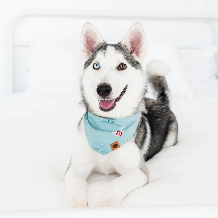 Kyte Baby Dog Bandana - Alpine Village