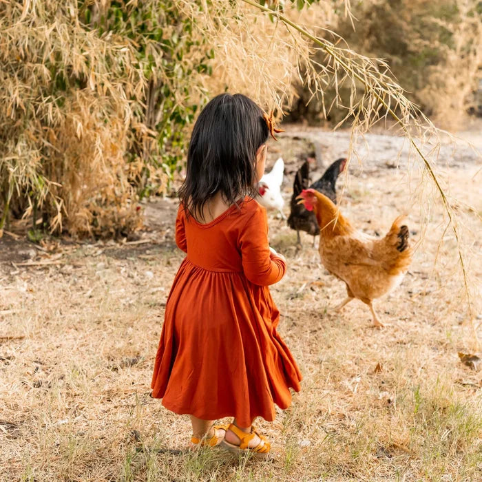 Kyte Baby Long Sleeve Twirl Dress - Rust