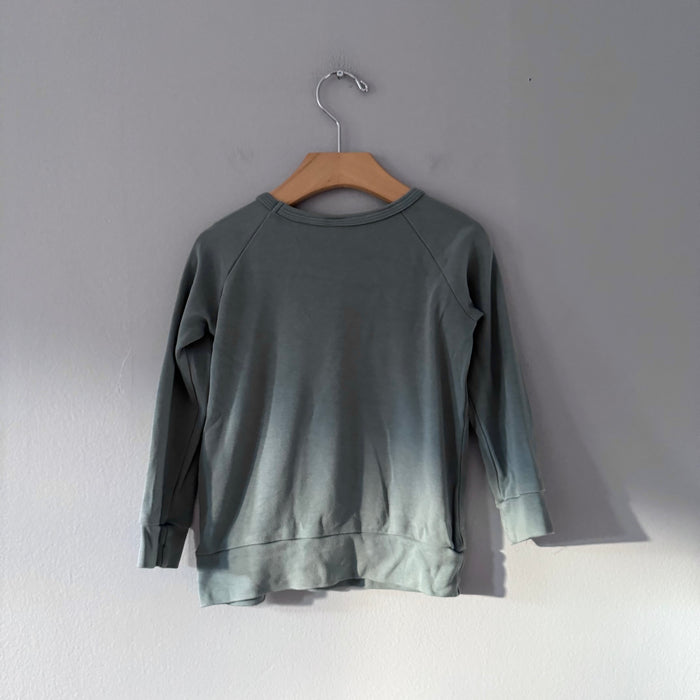 Little & Lively / Smokey green long sleeve / 3-4T