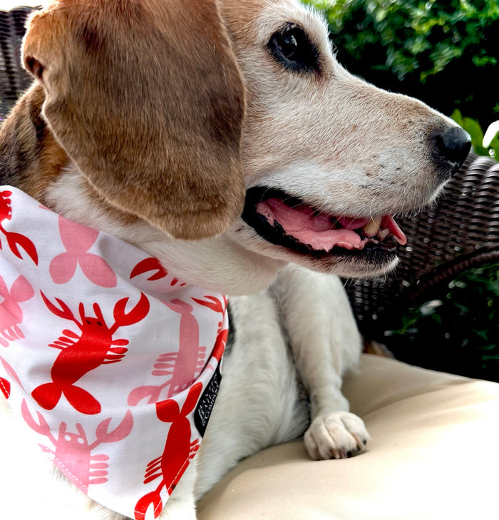Lobster Reversible Bandana
