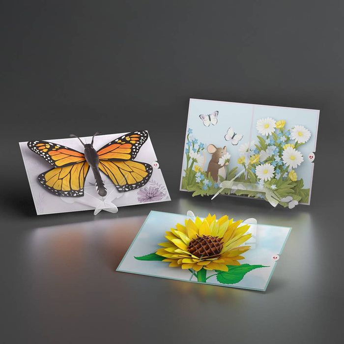 Lovepop Cards - X-Cross Display