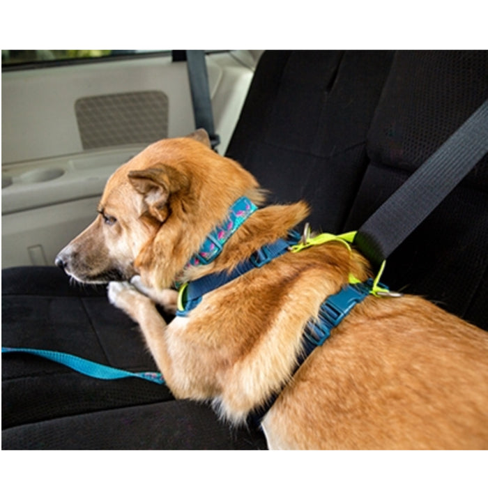 Moto Control Harness - Arctic Blue/Tennis