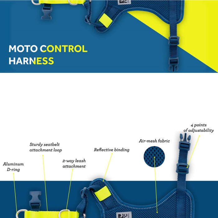 Moto Control Harness - Arctic Blue/Tennis