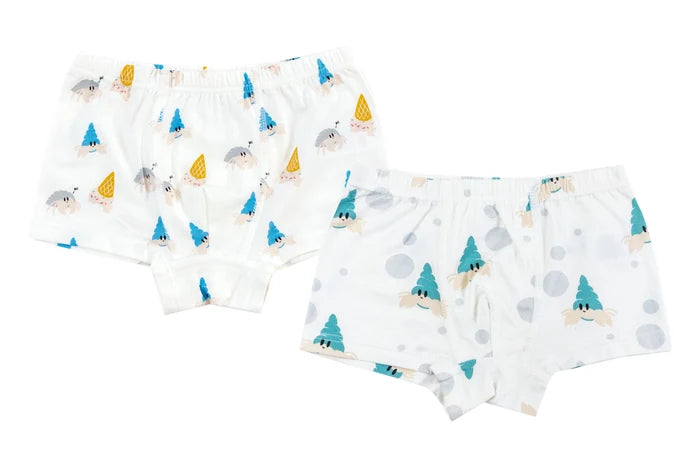 Nest Designs Bamboo Boys Boxer Underwear(2 Pack)