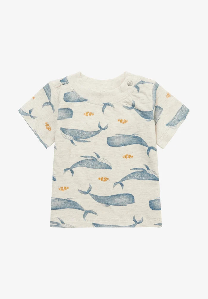 Noppies Mullins Short Sleeve Tee - Oatmeal Melange