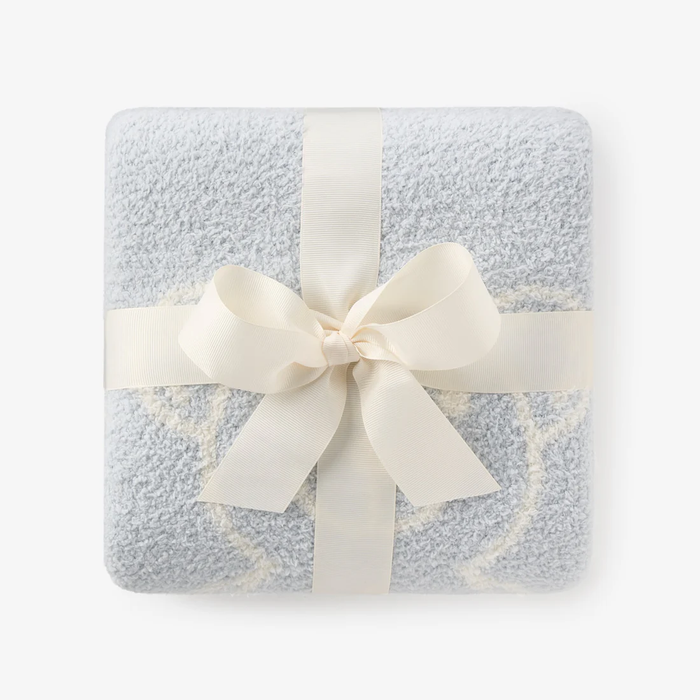Pale Blue Teddy Bear Feather Knit Baby Blanket 30"x40"