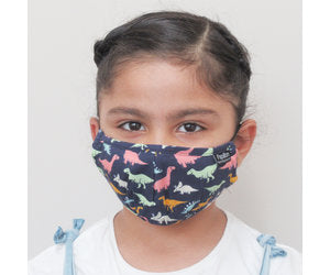Papillon Face Masks