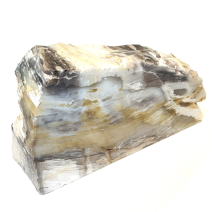 #3 (1315g /.270 lbs.) Petrified Wood Gemstone Stump