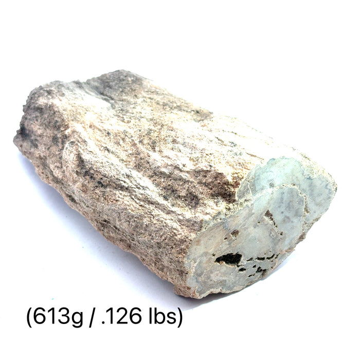 #5 (613g/ .126lbs.) Petrified Wood Gemstone Stump