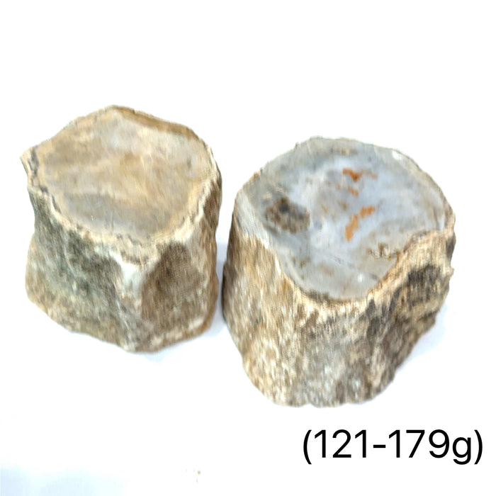 #7 (121-179g /.039.lbs) Petrified Wood Gemstone Stump