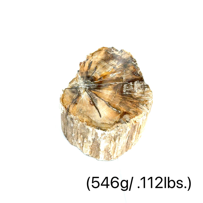 #10 (546g/.112lbs.) Petrified Wood Gemstone Stump