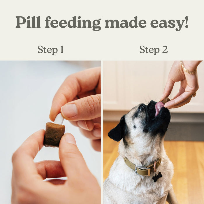 Pill Buddy Naturals-Grilled Duck-30ct