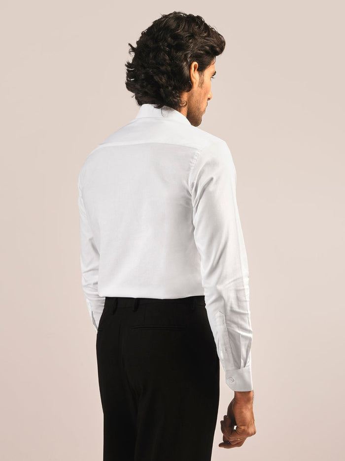 Princeton 100% Cotton Shirt
