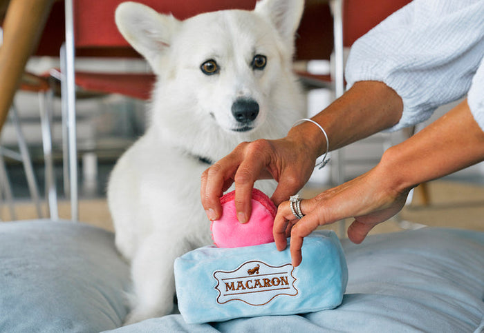 Pup Cup Cafe - Mutt-A-Rons Toy