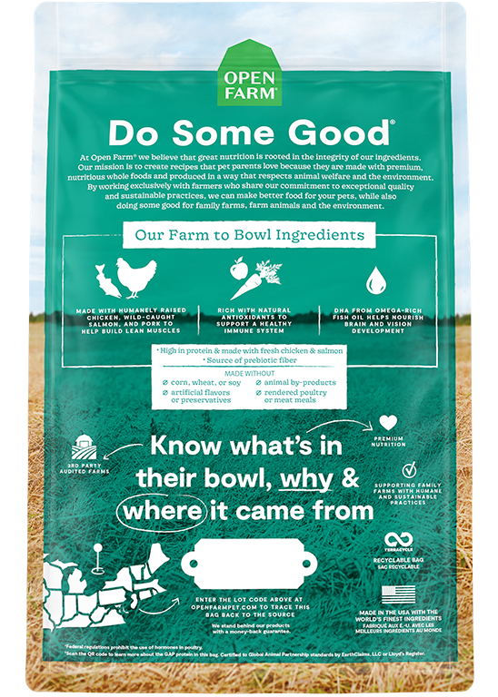 Puppy Recipe Grain Free Dog Food