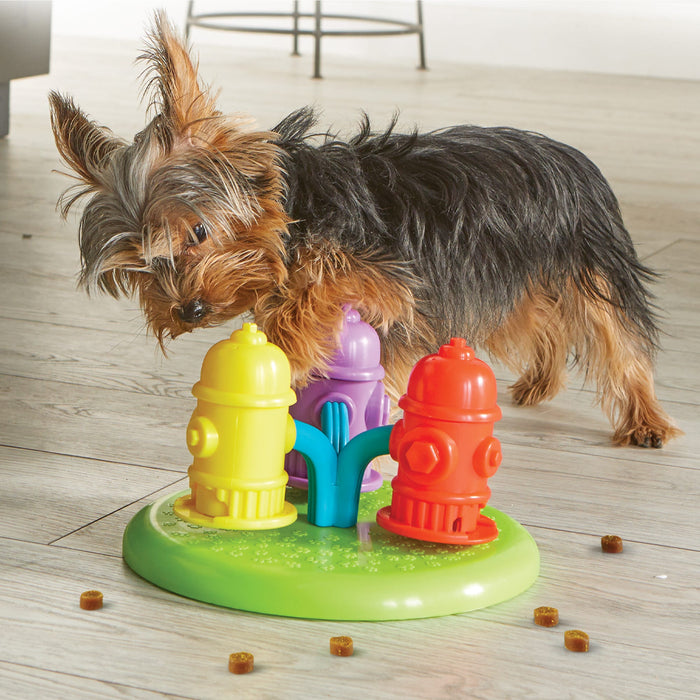 Spinning Hydrants Treat Puzzle