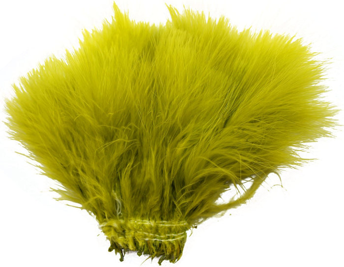 Damsel Olive
