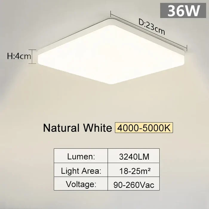 36W Natural White