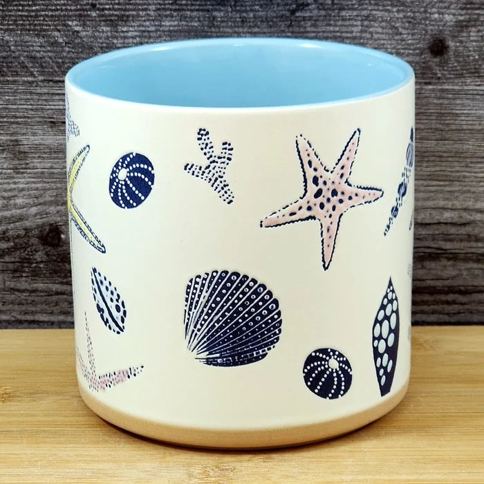 Star Fish Coral Shells Planter Ceramic Utensil Organizer Succulent Blue Sky 5in