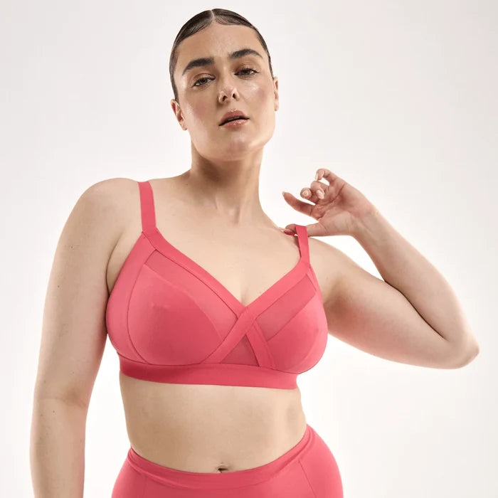 STEFANIA / 14DD, 14C / WATERMELON, 14D / WATERMELON, 14DD / WATERMELON, 14E / WATERMELON, 14F / WATERMELON, 14G / WATERMELON, 14h / WATERMELON, 16C / WATERMELON, 16D / WATERMELON, 16DD / WATERMELON, 16E / WATERMELON, 16F / WATERMELON, 16G / WATERMELON, 18C / WATERMELON, 18D / WATERMELON, 18DD / WATERMELON, 18E / WATERMELON, 18F / WATERMELON, 18G / WATERMELON, 20D / WATERMELON, 20DD / WATERMELON, 20E / WATERMELON, 20F / WATERMELON, 22D / WATERMELON, 22DD / WATERMELON, 22E / WATERMELON, 22F / WATE