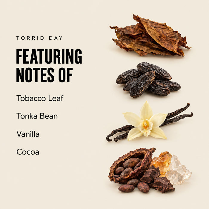 Torrid Day featuring notes