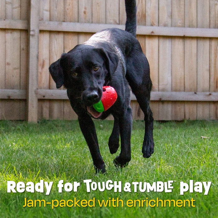 Tough & Tumble™ 2-Piece Treat Dispenser: Strawberry