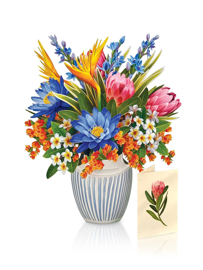 Tropical Paradise