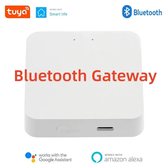 Bluetooth Gateway / CHINA