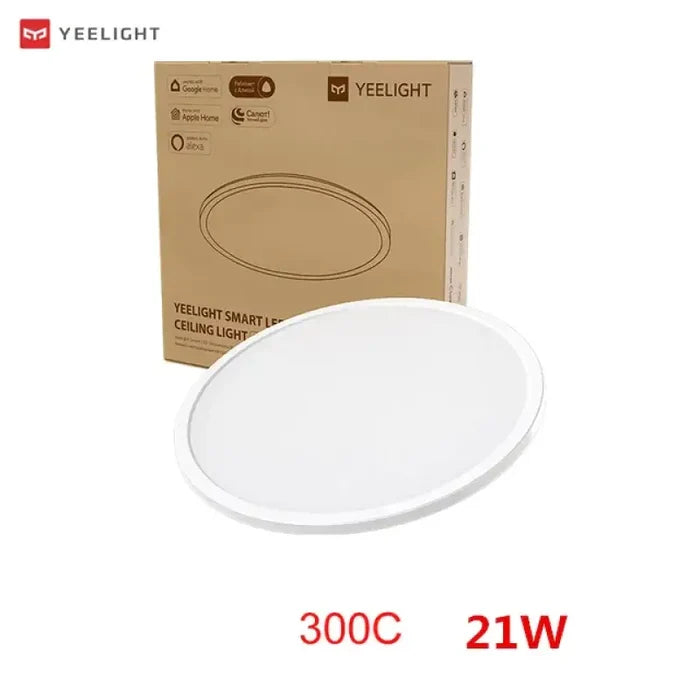 300C 21W
