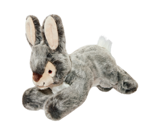 Walter Wabbit