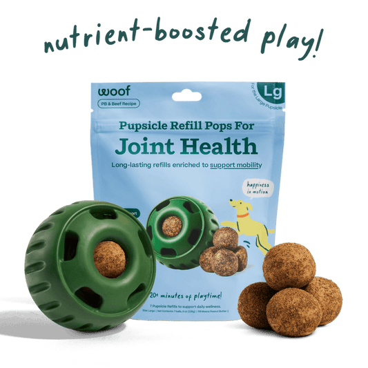 Woof Treats-Joint Health Wellness Pops